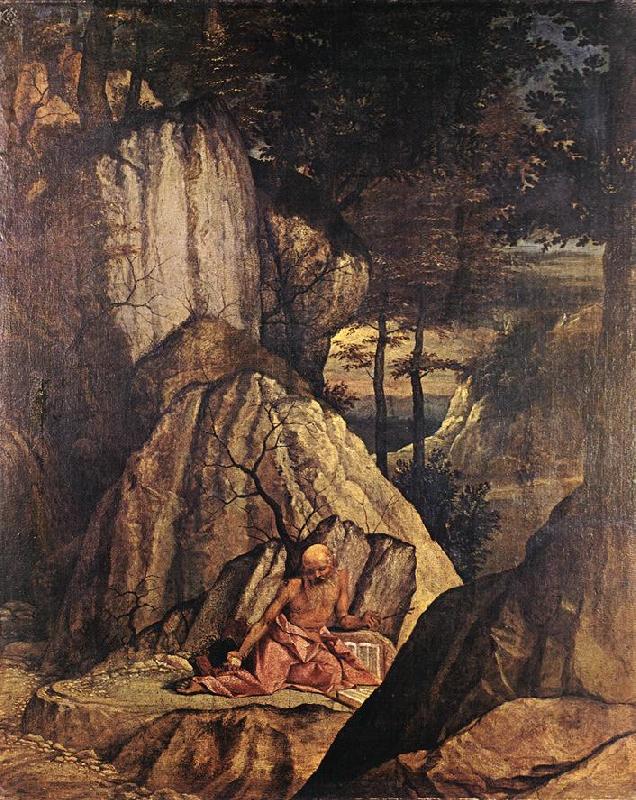 LOTTO, Lorenzo Penitent St Jerome sg Germany oil painting art